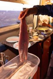 sehr guter, frischer Fisch