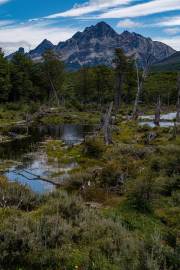 Am Beginn der Wanderung zur Laguna Esmeralda in der Nähe von Ushuaia