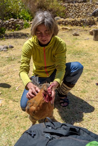 Delphine mit ihrem Lieblingshahn