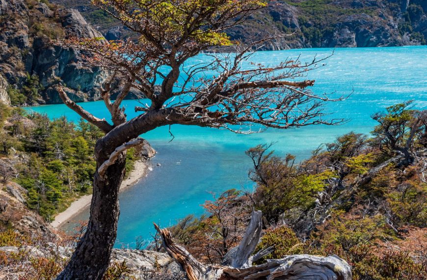 Perito Moreno Nationalpark