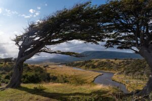 Über die Magellanstraße nach Feuerland