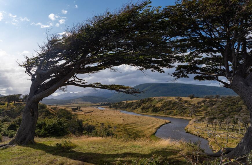 Über die Magellanstraße nach Feuerland