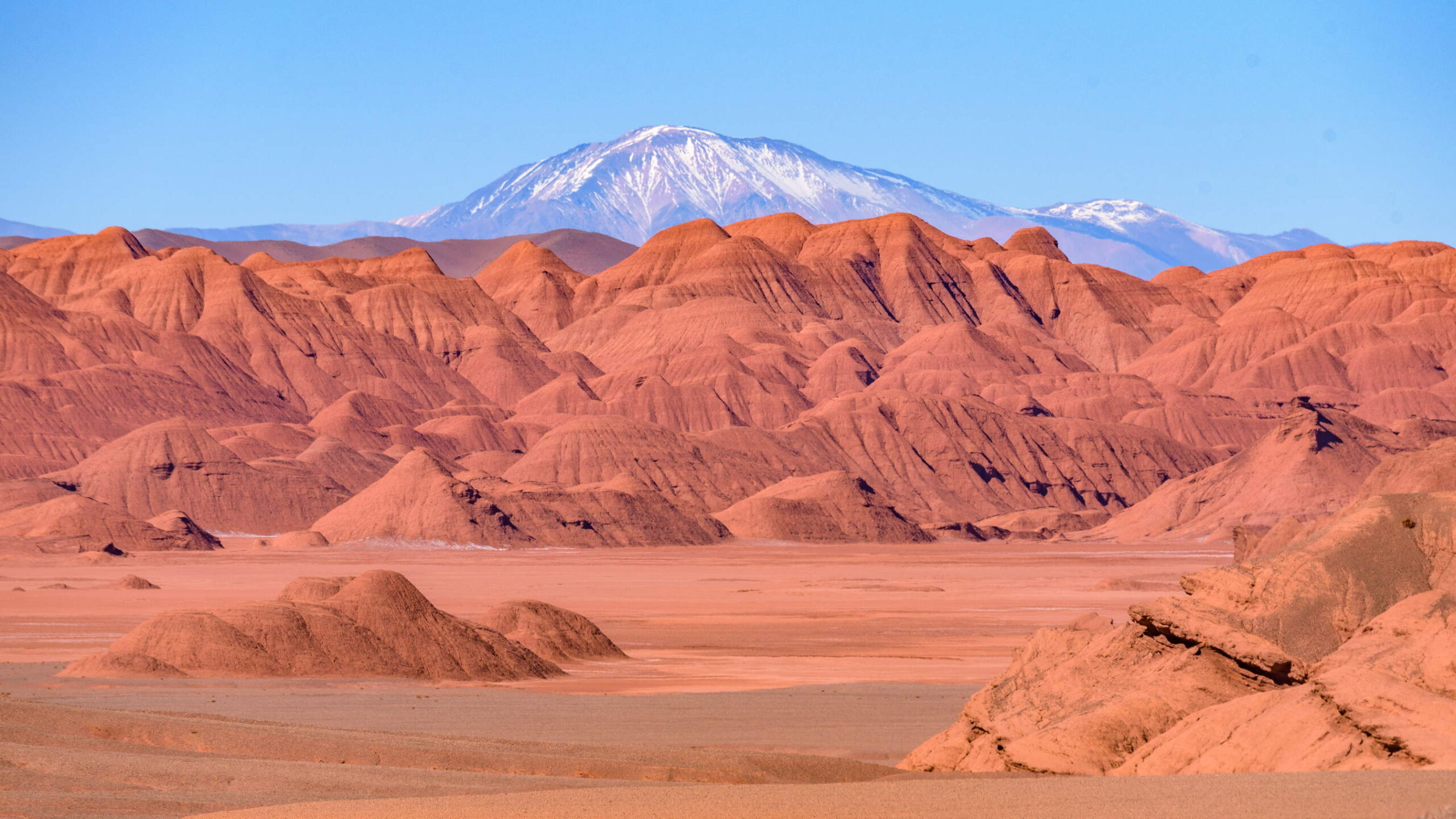 Durch die Hochwüste von Argentinien